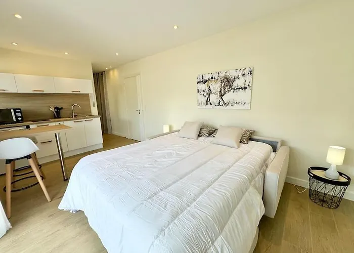 Appartamento Le Palm Beach, Clim ,parking, Neuf Cannes