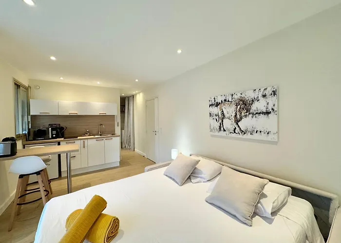 Apartamento Le Palm Beach, Clim ,parking, Neuf Cannes